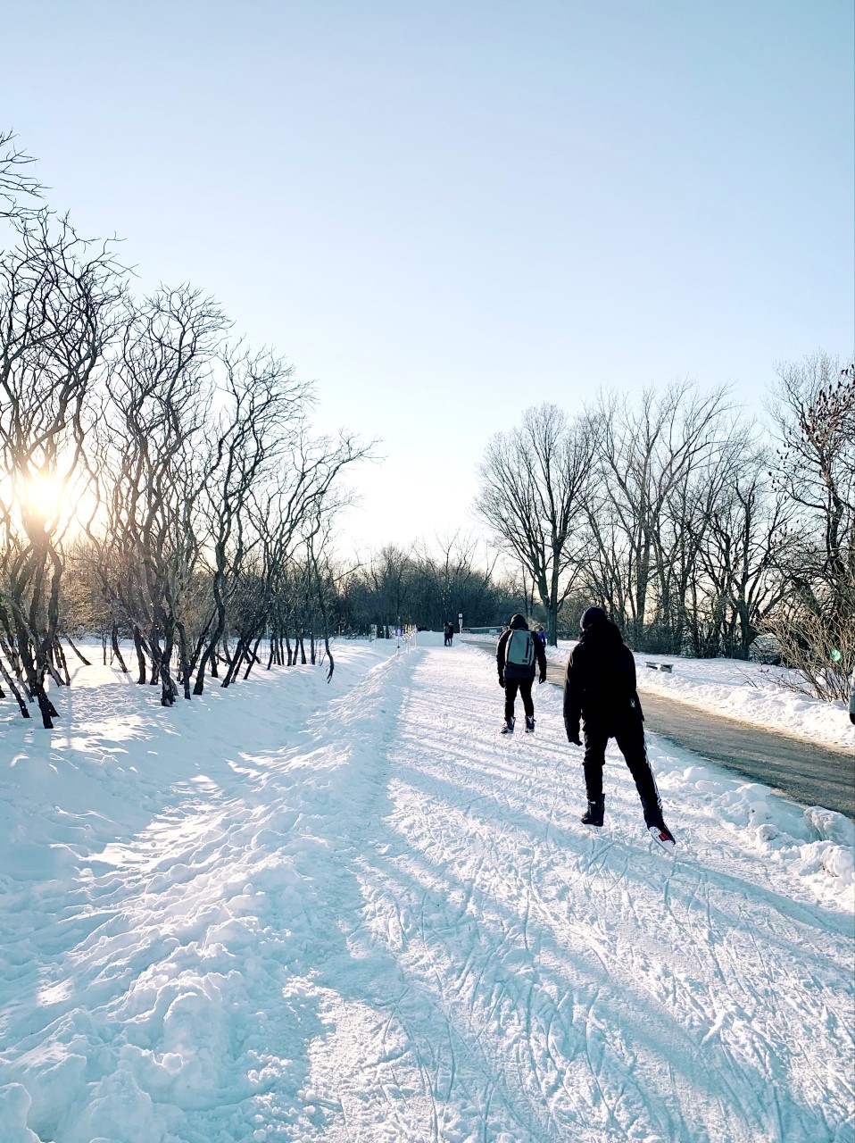 Skating in Montreal