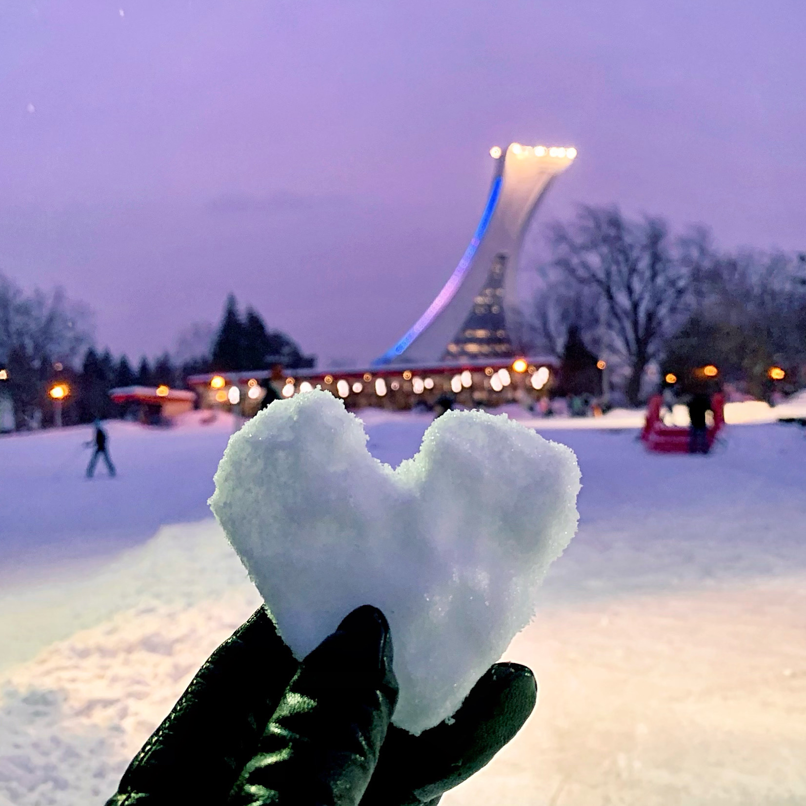 Skating in Montreal